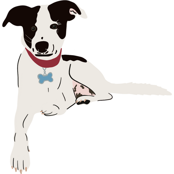 Custom Pet Portrait